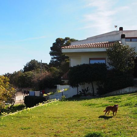 Asinara Villa ซัสซารี ภายนอก รูปภาพ