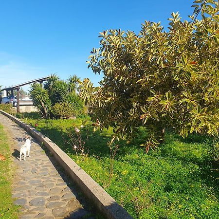 Asinara Villa ซัสซารี ภายนอก รูปภาพ