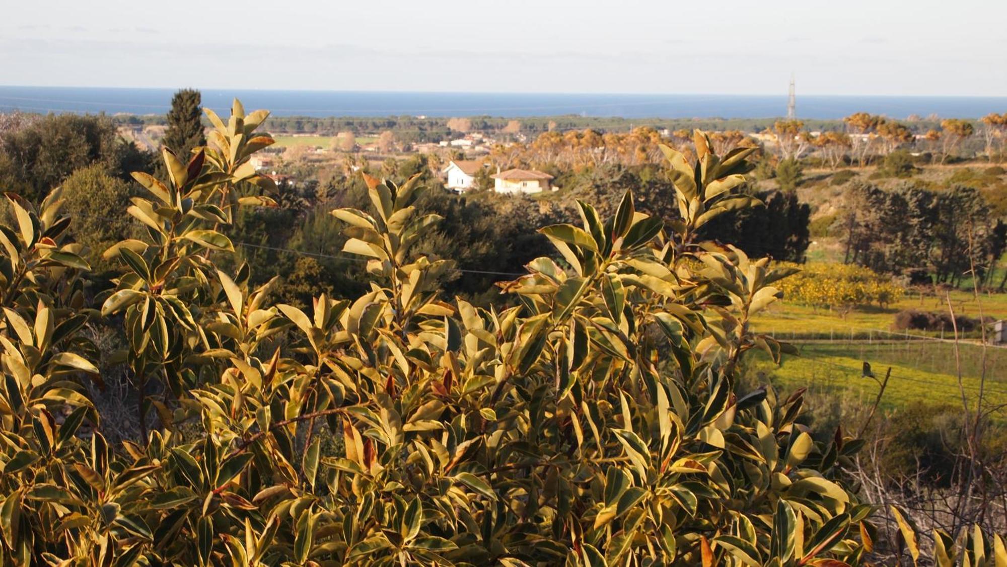 Asinara Villa ซัสซารี ภายนอก รูปภาพ