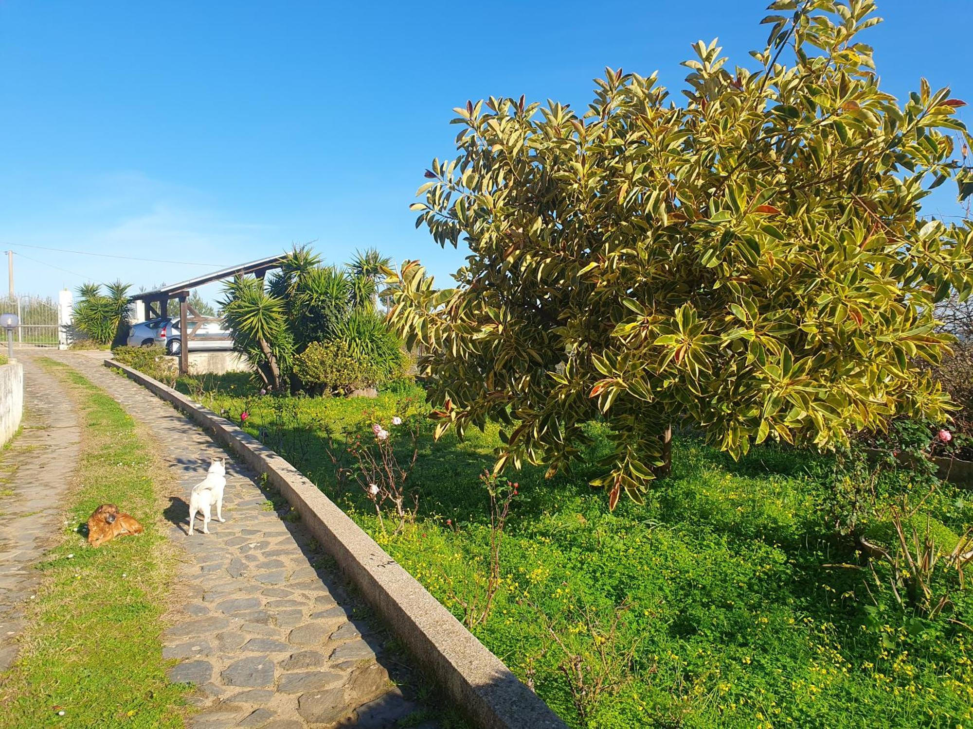 Asinara Villa ซัสซารี ภายนอก รูปภาพ